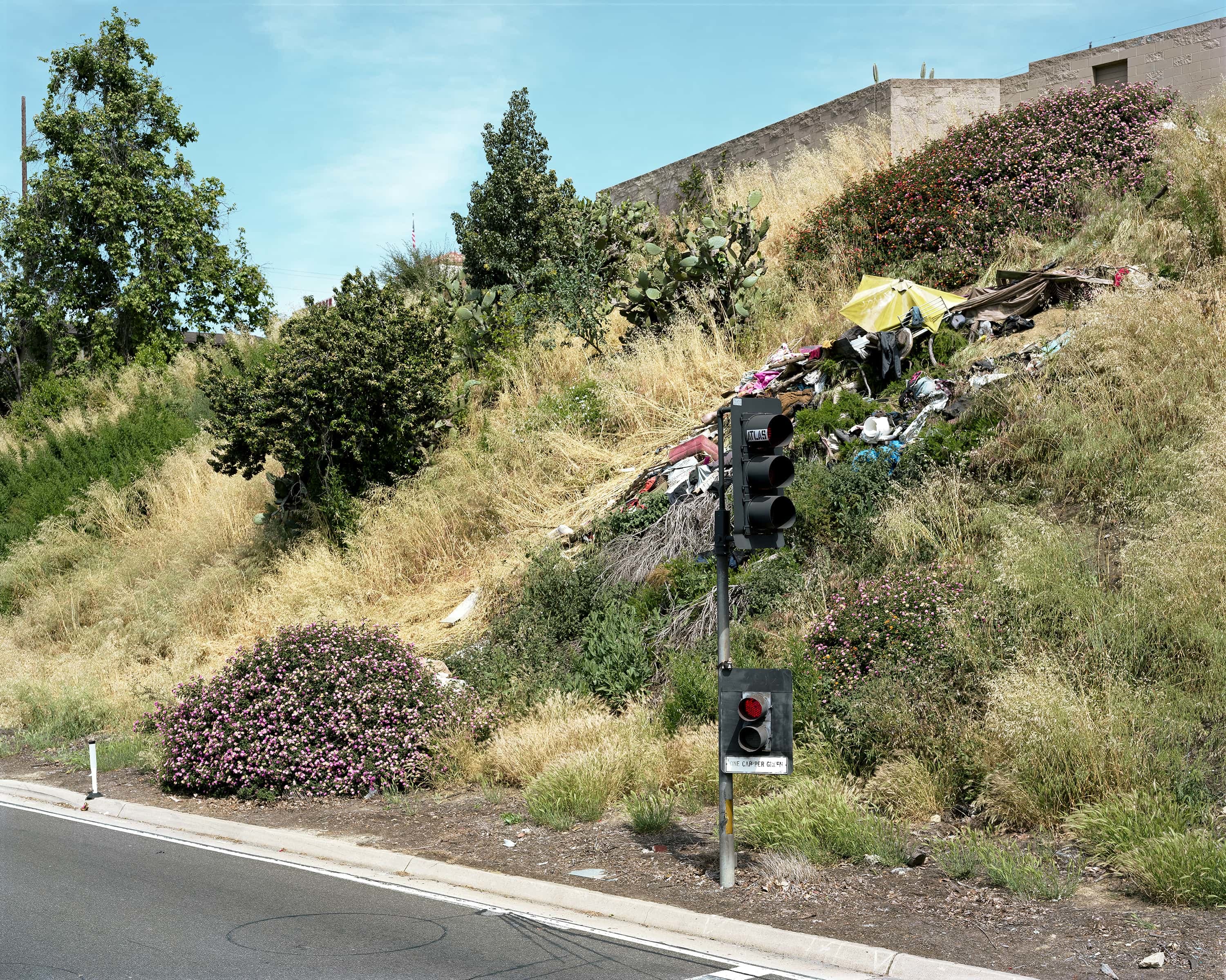 On the side of the entrance ramp to the highway a large pile of trash has been dumped in between flowering bushes.