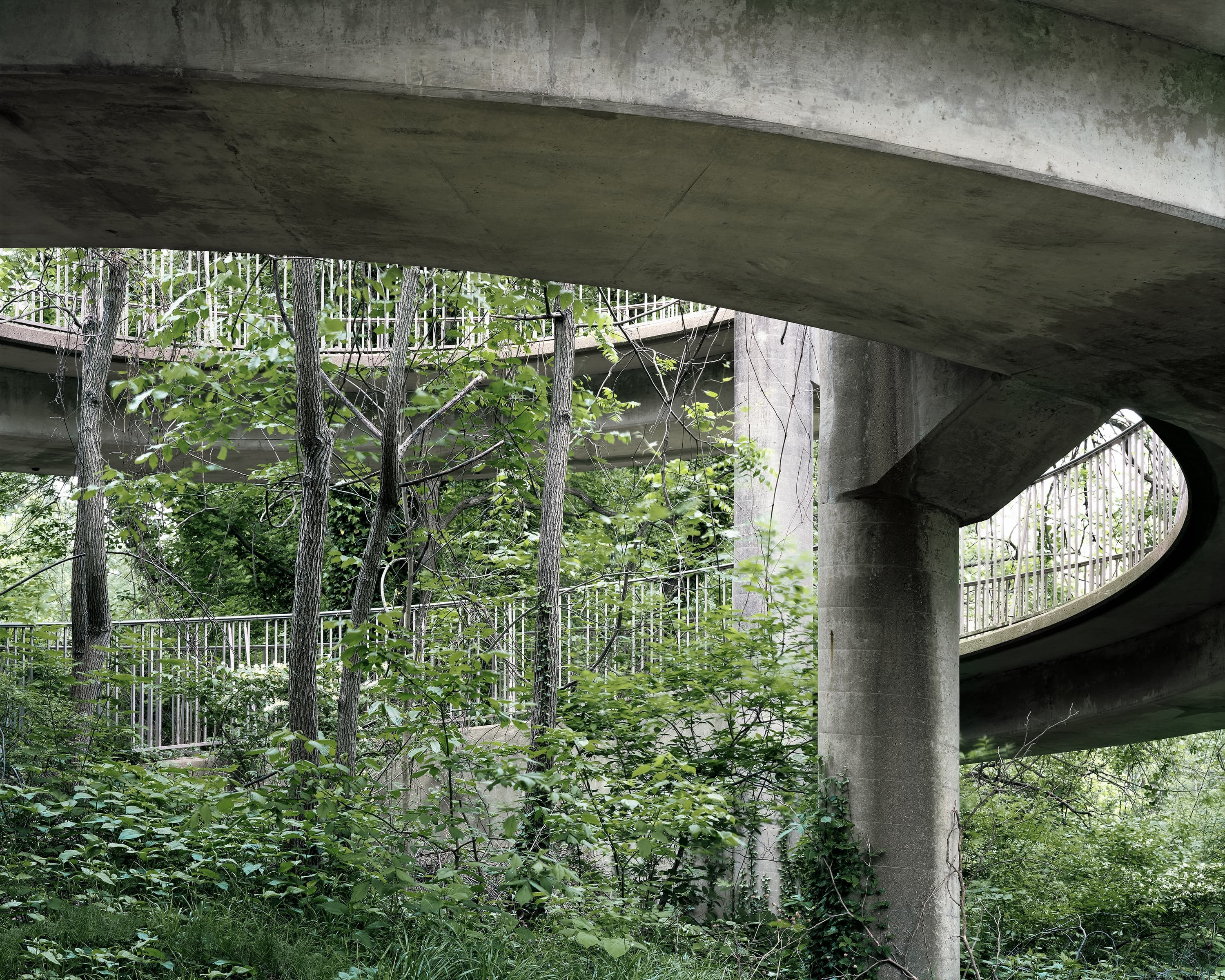 Overgrown center of the interior of a spiral ramp leading to pedestrian walkway.