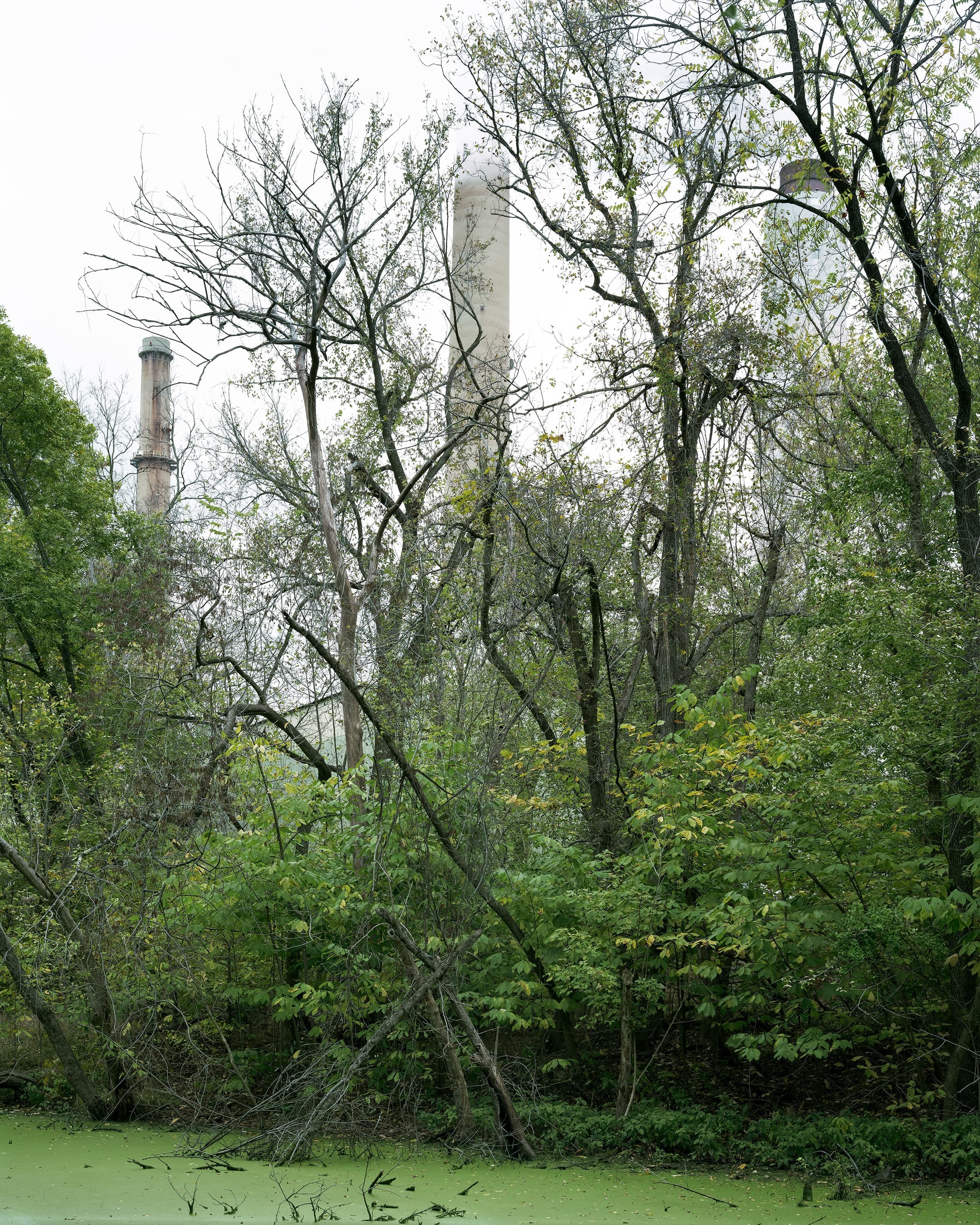 Two towers of the power station behind the trees rise above a green algae covered canal.