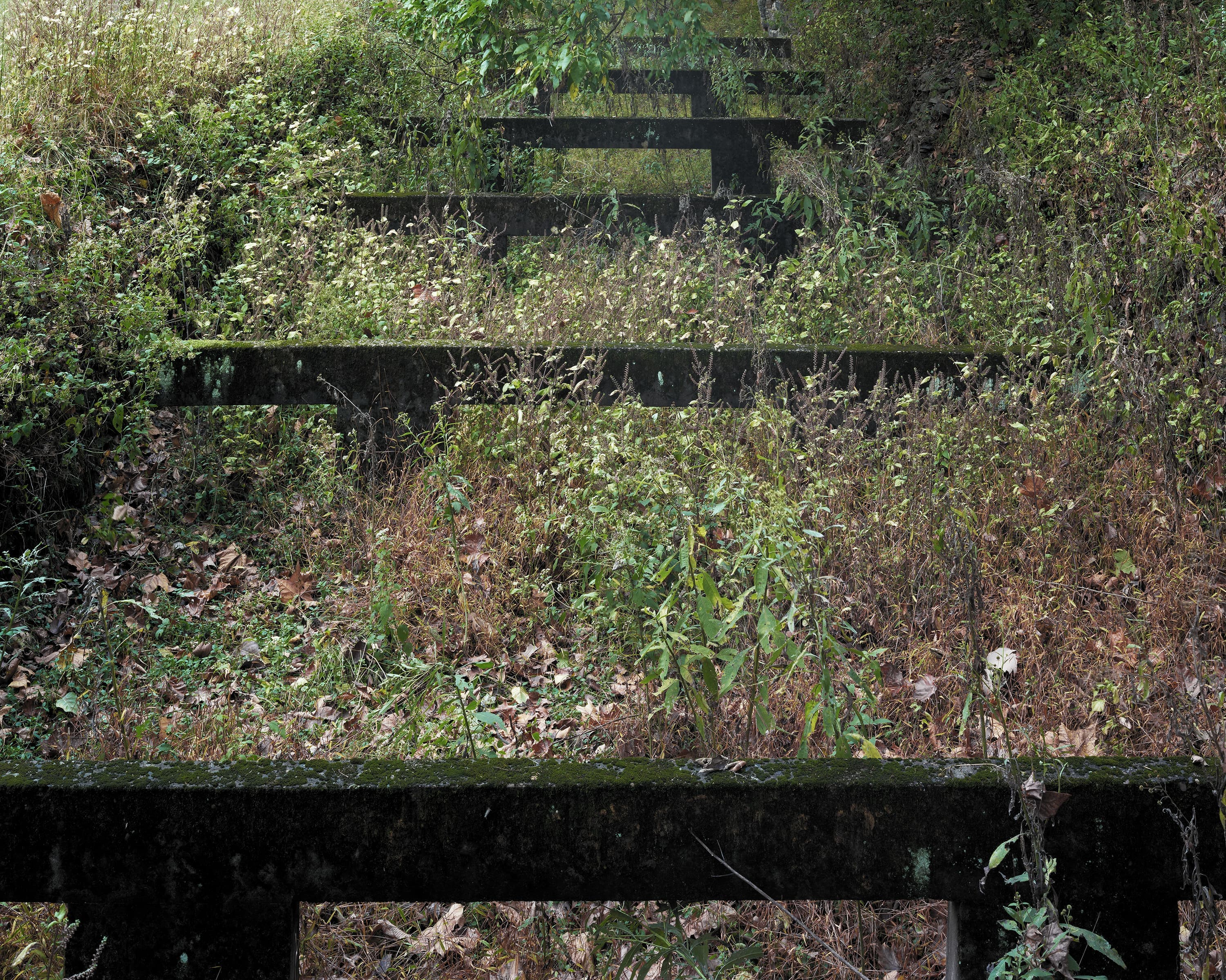 Empty and overgrown dry dock for canal boat repairs.