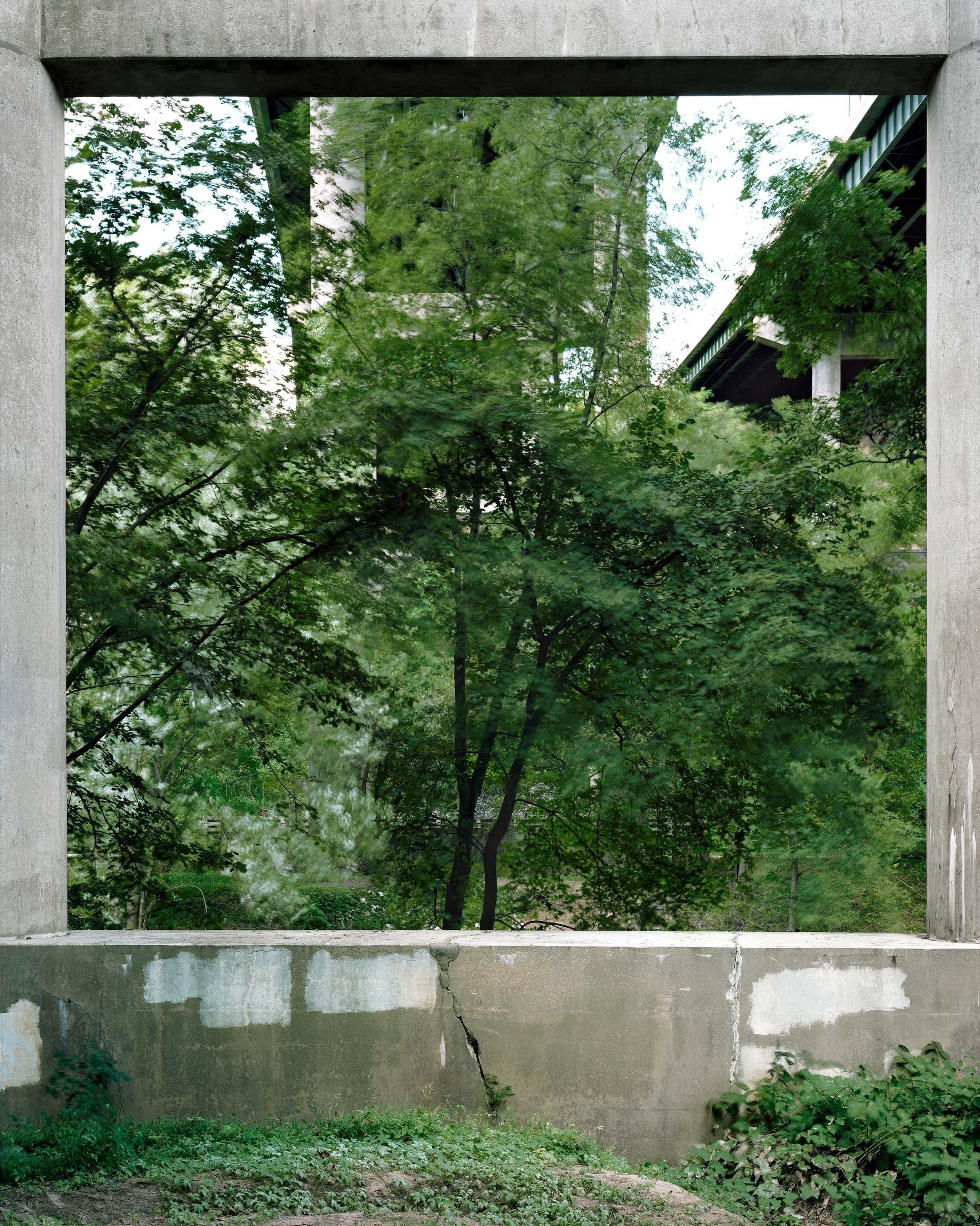 Underneath a bridge, trees are blown in the wind, framed by the bridge piers.