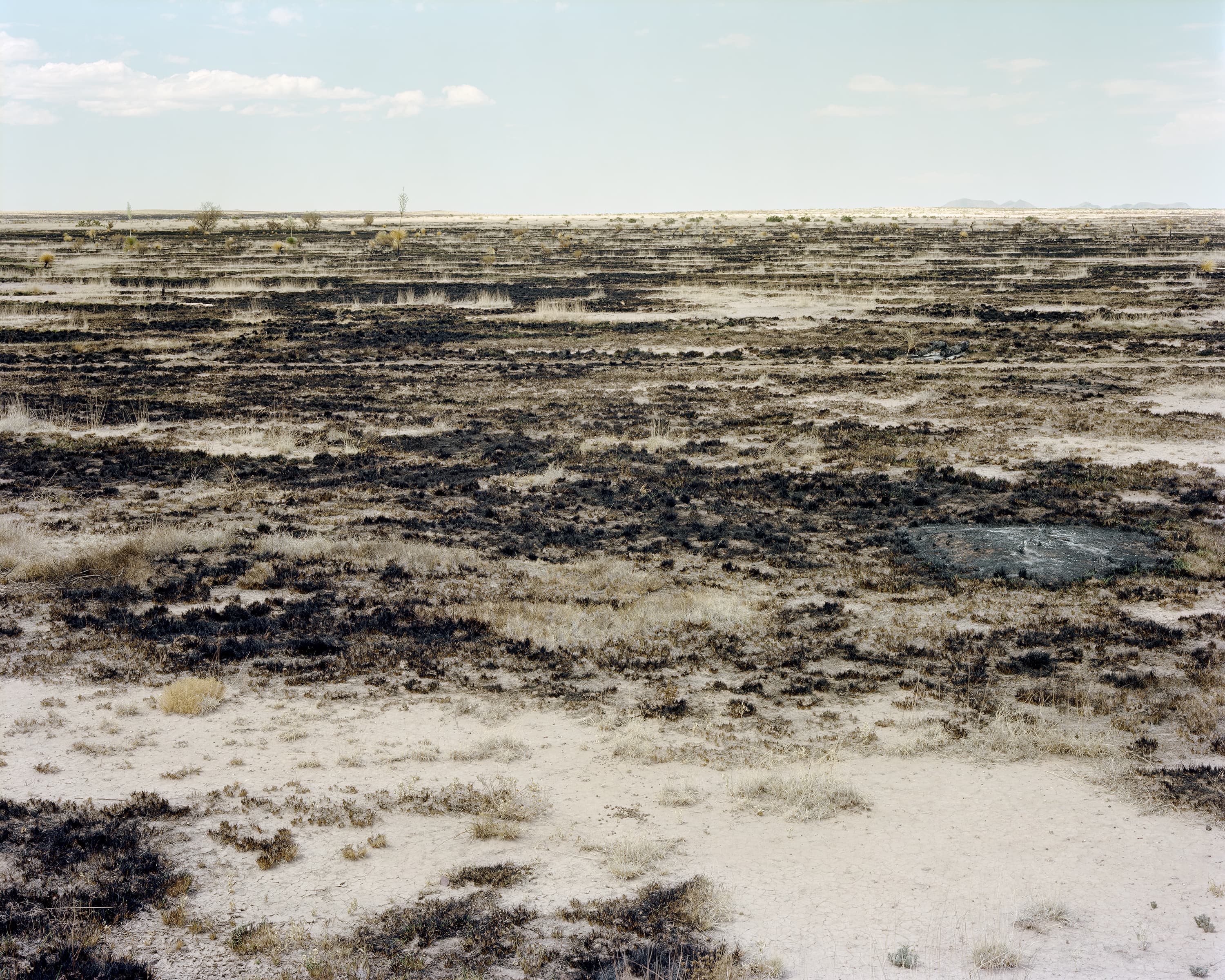 The burnt landscape of field damaged by brushfire from a lightning strike. Melted plastic cattle trough on the right of the picture.