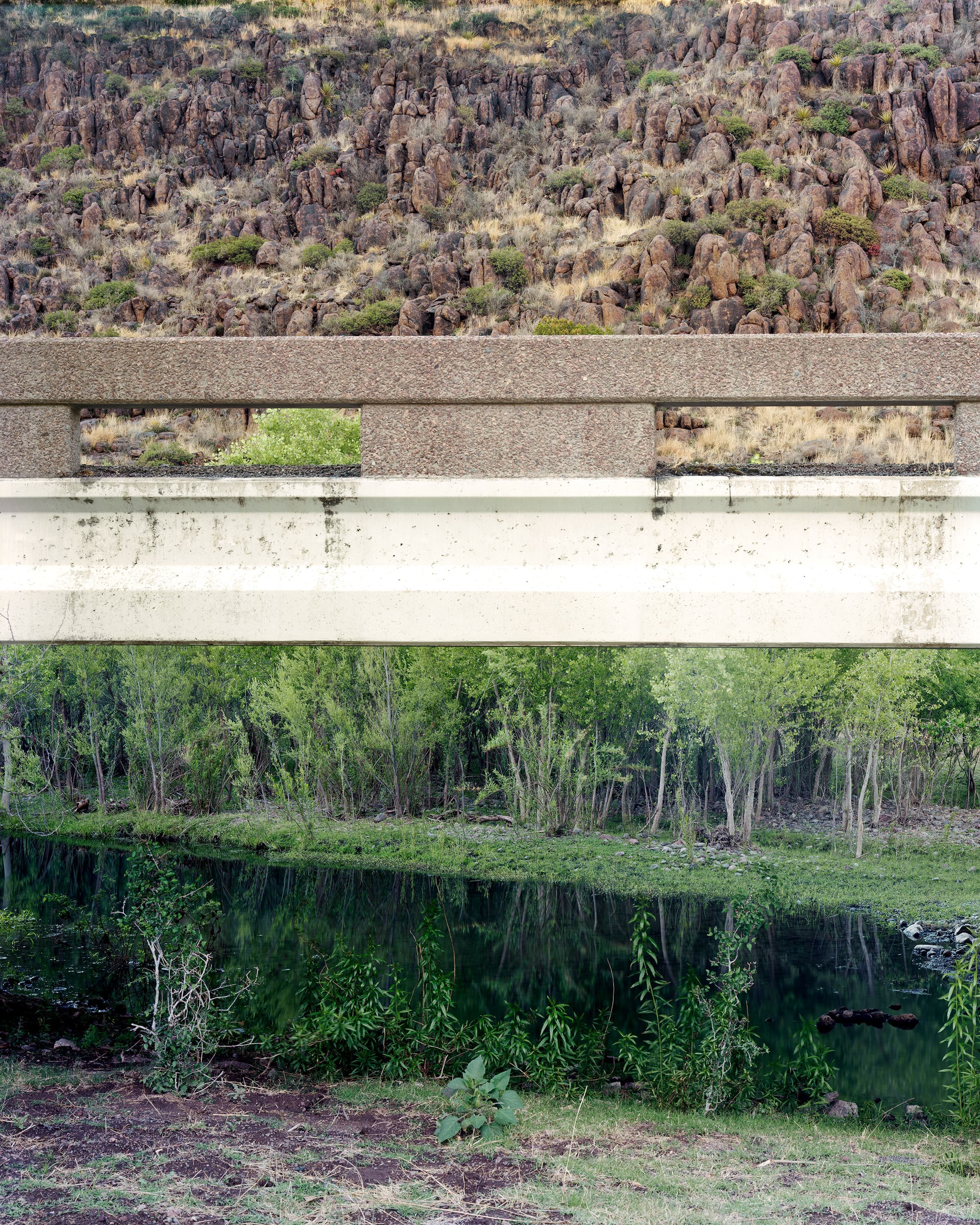 Vertical landscape bisected by elevated highway. The highway divides the picture between the water and greenery below and the dry desert landscape above.