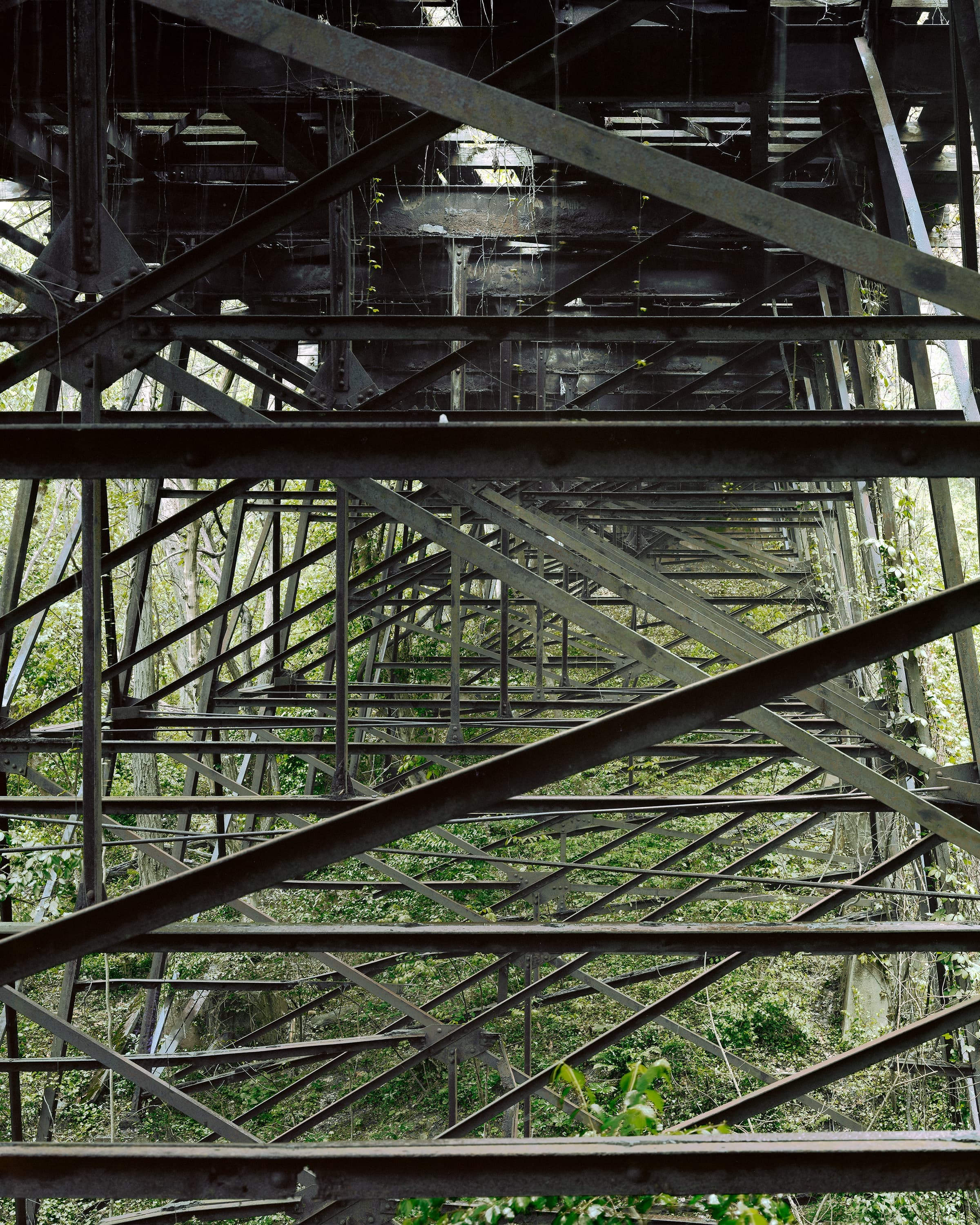 Abandoned and heavily overgrown trestle bridge.